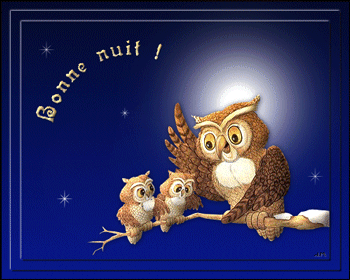 bonne nuit chouettes